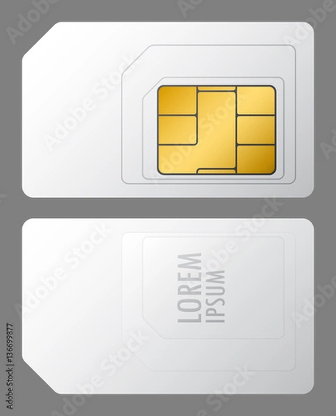 Obraz vector sim card