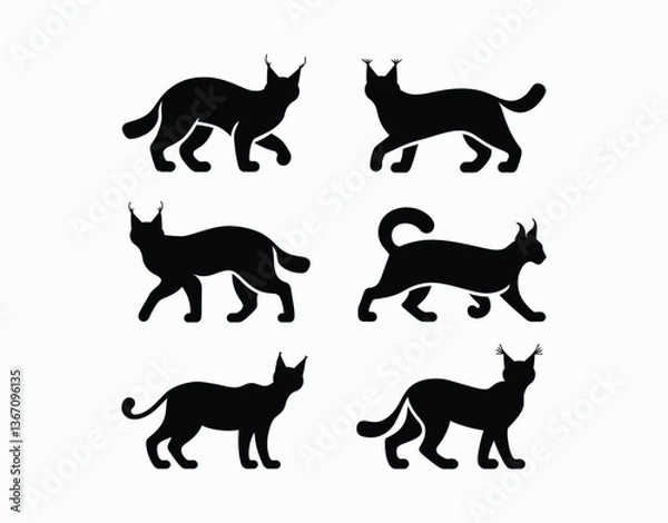 Fototapeta Versatile Lynx Silhouette Template Set on White Background