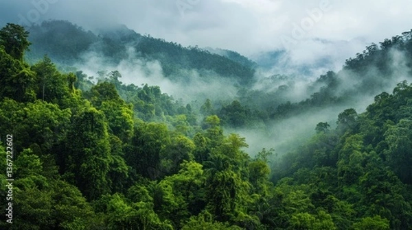 Obraz Ethereal rainforest vista unveiling lush greenery beneath a swirling mist