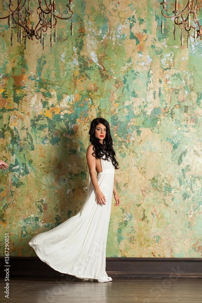 Fototapeta Beautiful young female model brunette looking at camera indoor, full length portrait