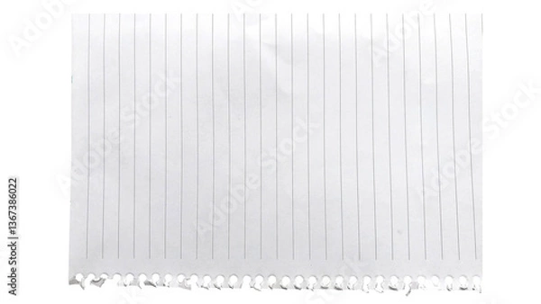 Fototapeta Ripped white paper pulled out from a ring notebook 