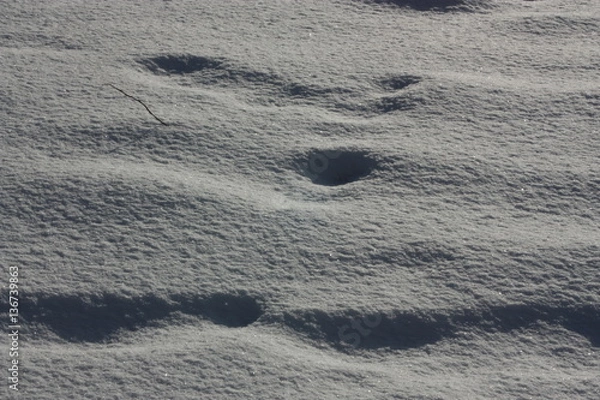 Fototapeta snow clearing
