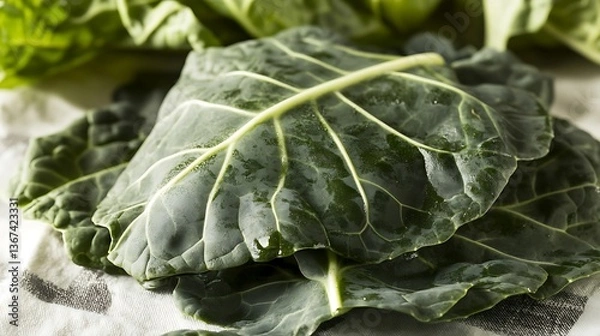 Fototapeta fresh spinach leaves