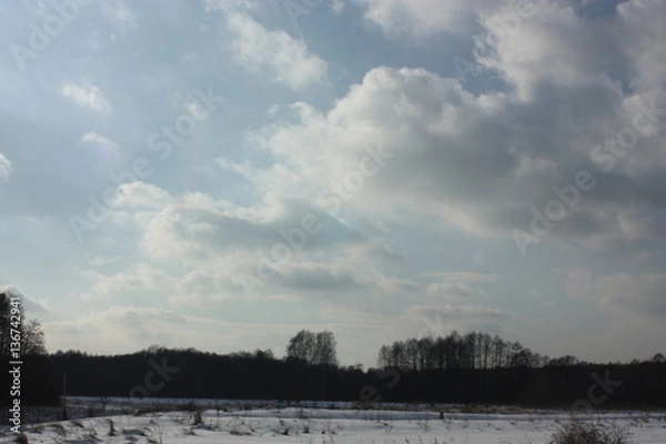 Fototapeta cloud and sky and trees