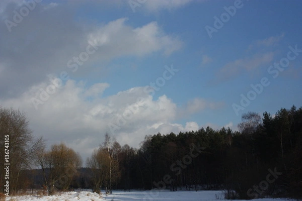 Fototapeta clouds , sky and forest