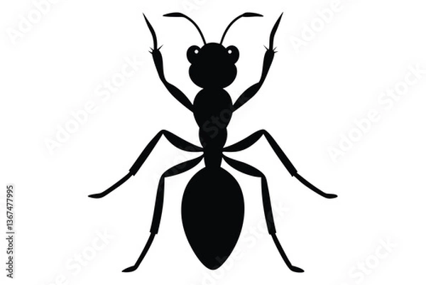 Obraz Ant Vector Silhouette Illustration 