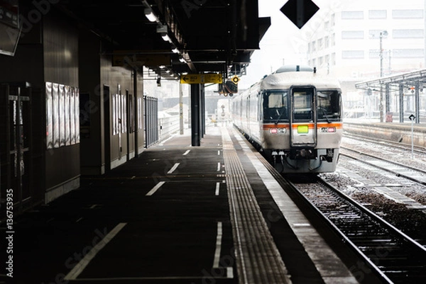 Obraz Local train in japan