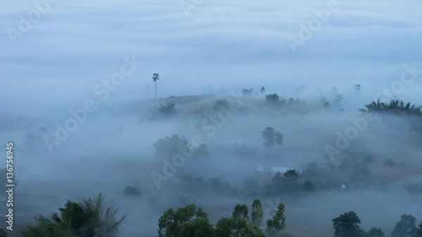 Obraz Mountain in The mist