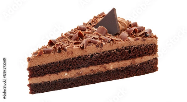 Obraz Isolated Chocolate Cake Slice