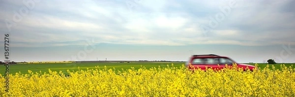 Fototapeta Speeding car and yellow fields