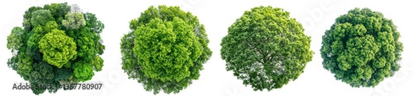 Fototapeta set of four top down view of tree tops