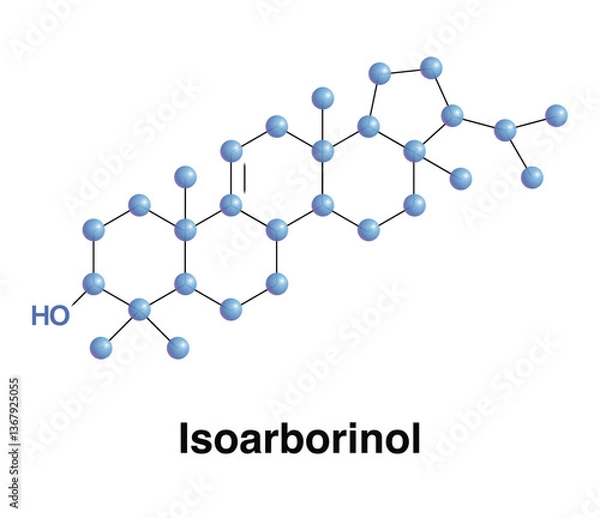 Obraz Isoarborinol Triterpenoid Produced By Angiosperms, Biomarker For Higher Plants. Science Vector Illustration