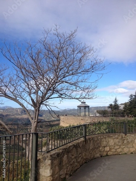 Obraz Tree with a beautiful structure at the background