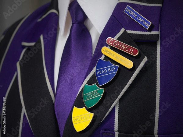 Obraz School boys blazer with school numerous badges
