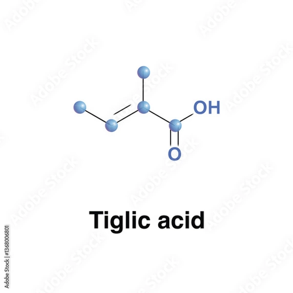 Obraz Tiglic Acid Monocarboxylic Unsaturated Organic Acid. Molecular Print of Secretion of Certain Beetles Found In Croton Oil