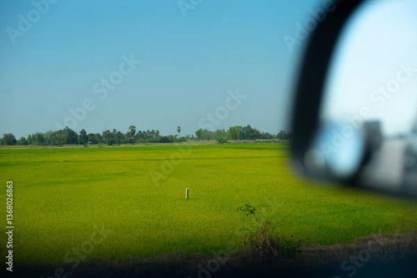Obraz a wheat field with blue sky 