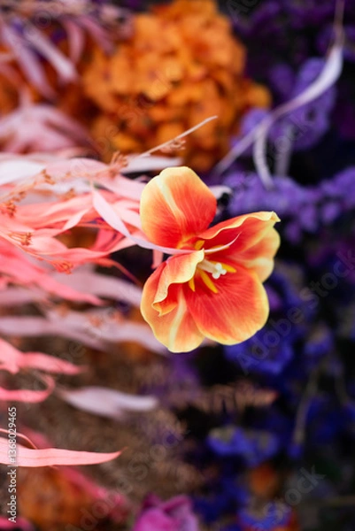 Obraz flower in water