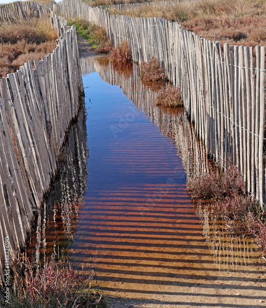Obraz inondation entre les clotures de dune