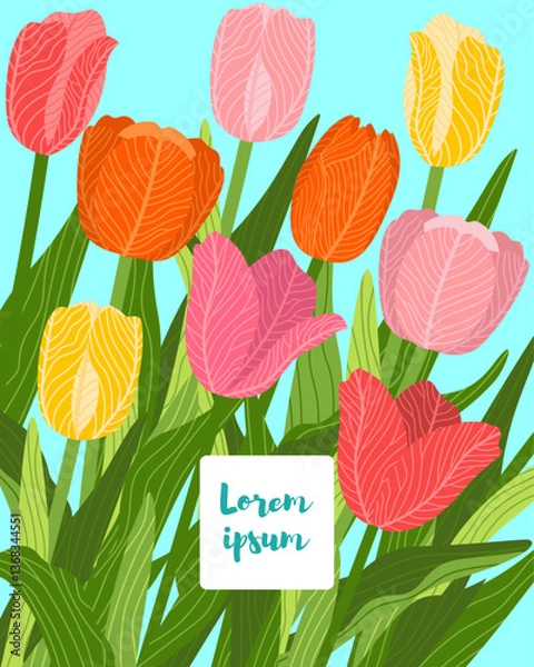 Obraz Illustration of a floral background featuring various tulips flowers, with a text placeholder. Ideal for banners, covers, greeting cards, invitations, posters, and other design templates. Hand-drawn