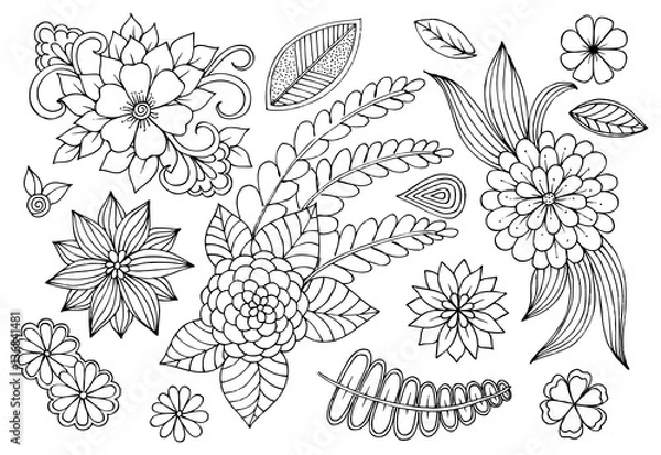 Fototapeta Set of doodle floral elements for design or coloring