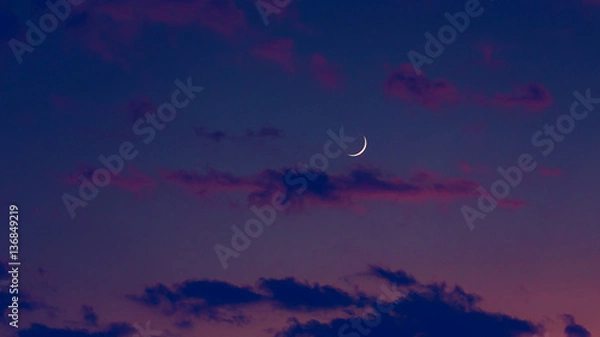 Obraz Moonage Daydream