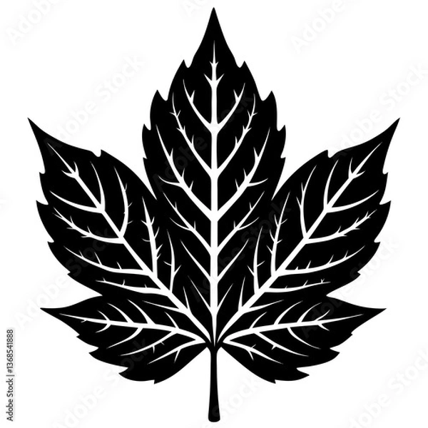 Obraz Ash Leaf Silhouette Vector