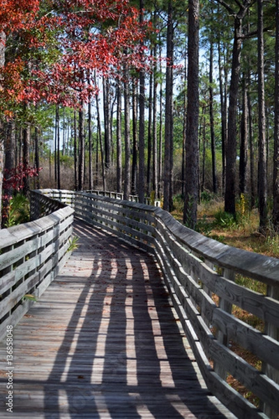 Fototapeta Tarklin Boardwalk