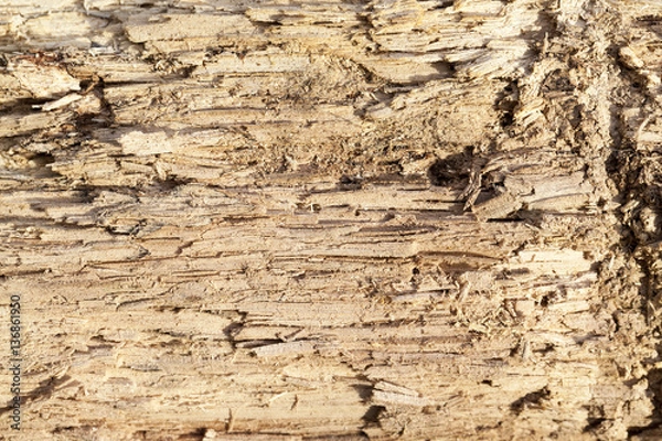 Fototapeta old split wood