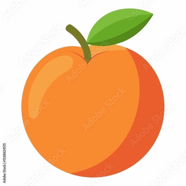 Fototapeta vector illustration of an orange