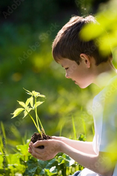 Fototapeta przyroda chroniona 1