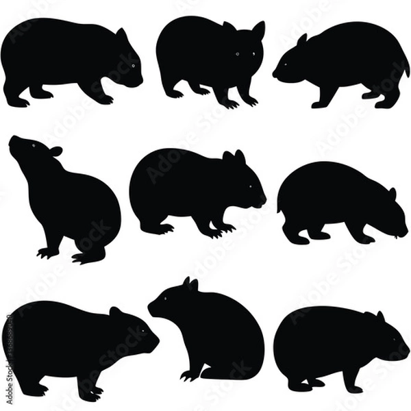 Fototapeta set of wombats, collection of silhouettes of black vector