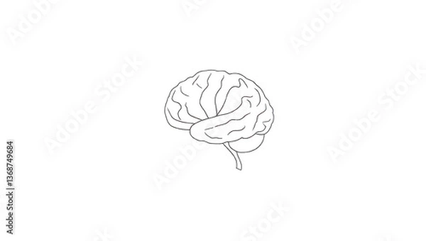 Obraz Human Brain Outline, Simple Line Drawing, Black Background