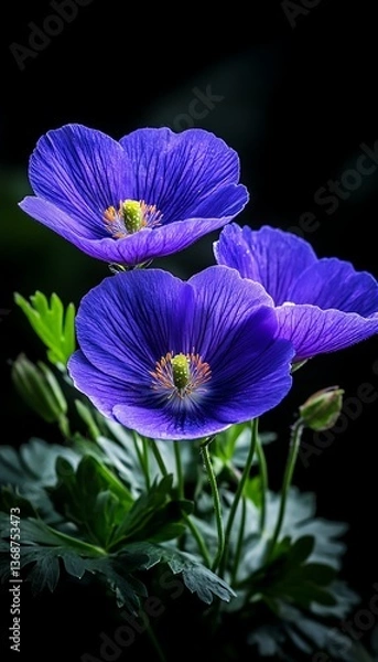 Obraz Blue Flowers Close-Up