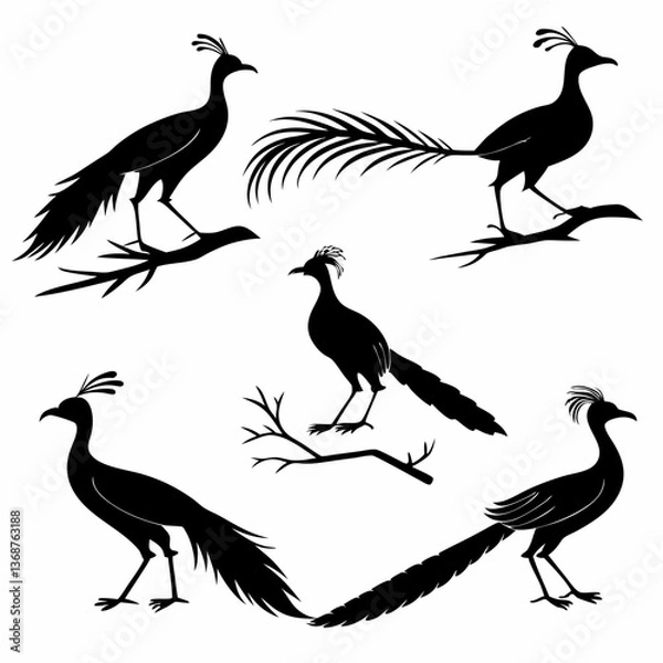 Fototapeta Lyrebird icon set black silhouette icon vector