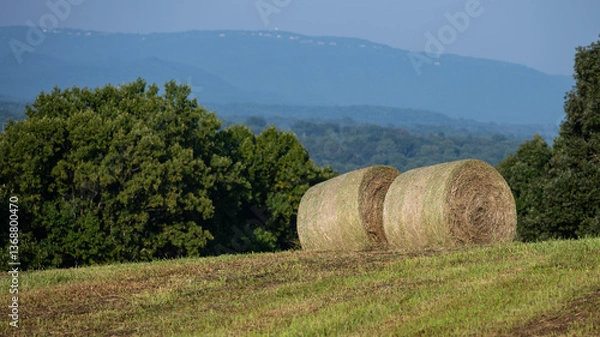 Fototapeta Hay Harvest in the Foothills of the Appalachian Mountains