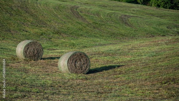 Fototapeta Hay Harvest in the Foothills of the Appalachian Mountains