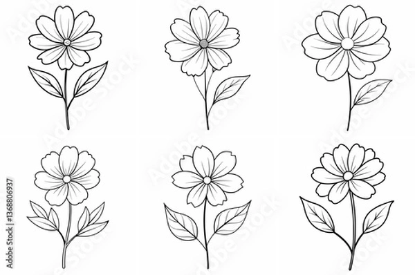 Fototapeta Cosmos Flower Plant Outline Coloring Book Page – Line Art Drawing Set on White Background