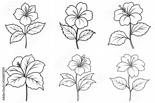 Fototapeta Hibiscus Flower Plant Outline Coloring Page - Line Art Drawing Set on White Background
