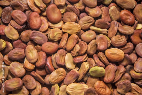 Fototapeta Background image covered with dried broad beans