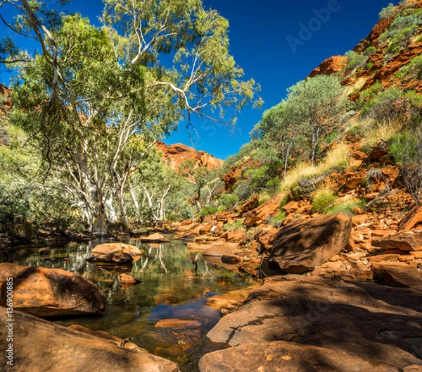 Obraz Kings Canyon Oasis. Taking a walk inside famous Kings Canyon, Australia. The stream holds lots of water after heavy rains.