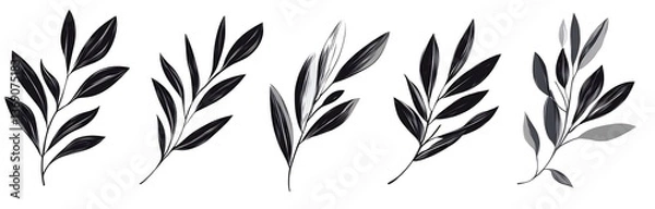 Fototapeta Black brush strokes of hand-drawn olive leaves on a white background. Ideal for scrapbooking and 2D illustrations, featuring simple line art and long shadows.