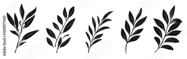 Fototapeta Black brush strokes of hand-drawn olive leaves on a white background. Ideal for scrapbooking and 2D illustrations, featuring simple line art and long shadows.