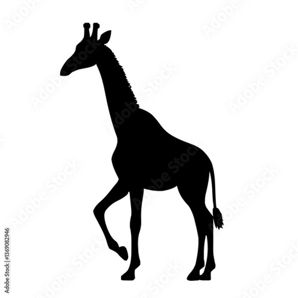 Obraz An illustration featuring a black giraffe silhouette set against a clean white background showing a giraffe with detailed neck and spots, symbolizing grace and uniqueness.