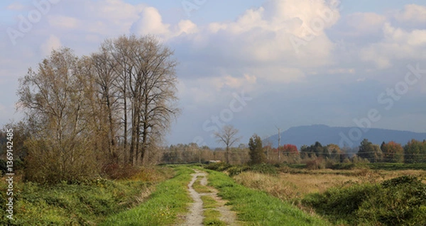 Obraz Early autumn trees and field road