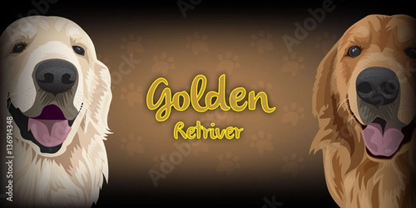 Obraz golden retriever