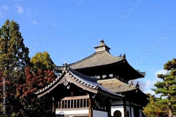 Fototapeta 日本、京都、東福寺、紅葉、秋、絶景