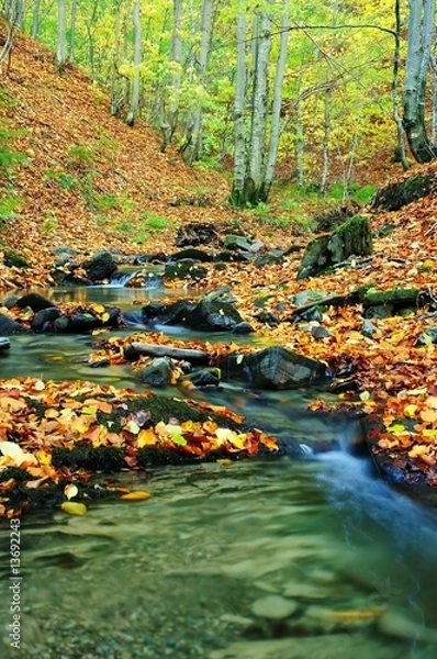 Fototapeta Creek in autumn