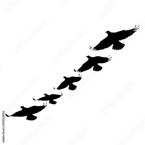 Fototapeta Silhouette Birds Flying Line Vector Graphic