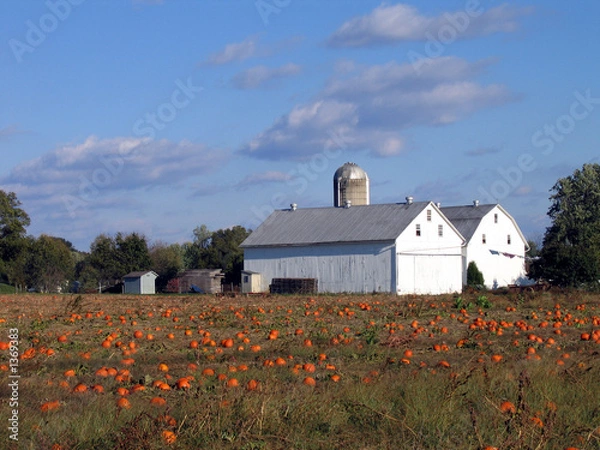 Fototapeta twin barns