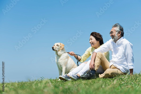 Fototapeta 海の見える丘で愛犬と触れ合うシニア夫婦